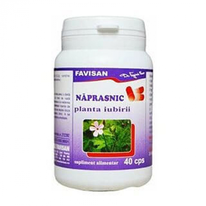 NAPRASNIC, 40 capsule, Favisan [2]