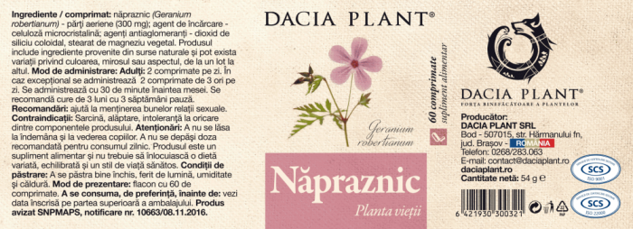 NAPRAZNIC PLANTA VIETII, Dacia Plant [2]