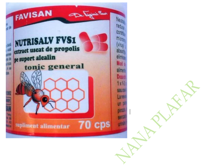Nutrisalv FVS1, 70 capsule, Favisan  la Nana Plafar [2]