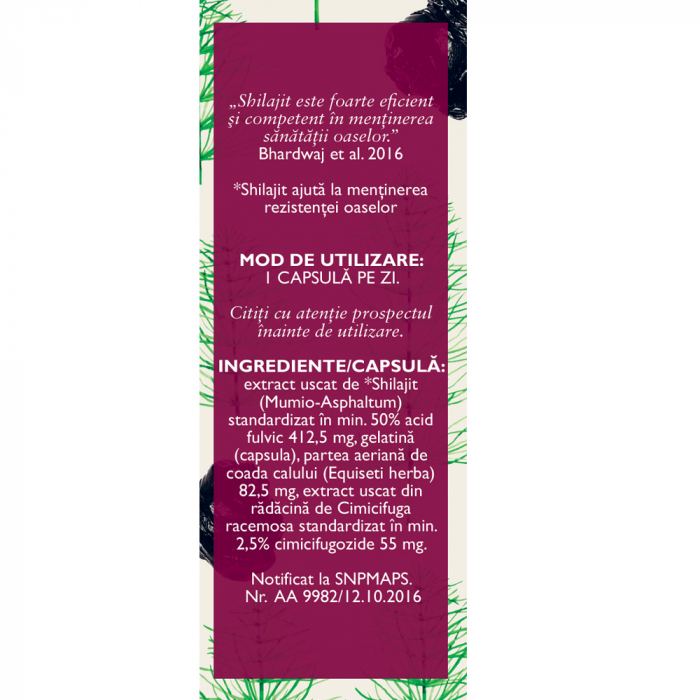Osteo Plant cu Shilajit L98, 30 capsule, Fares [2]