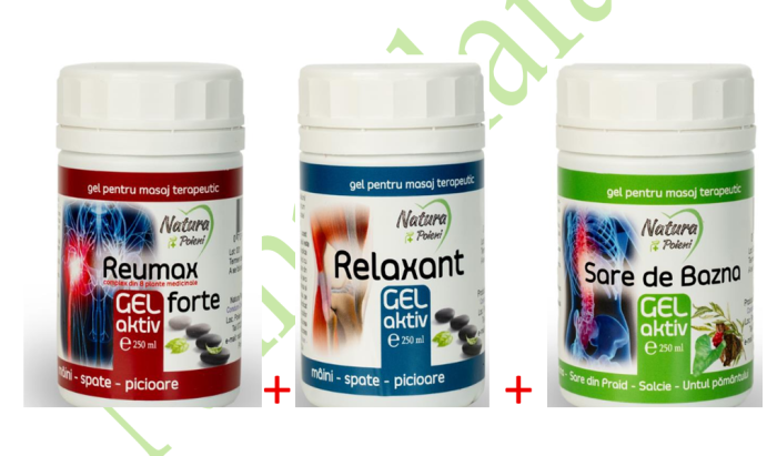 PACHET GEL AKTIV 3 BUC X 250ml Natura Plant la Nana Plafar [1]