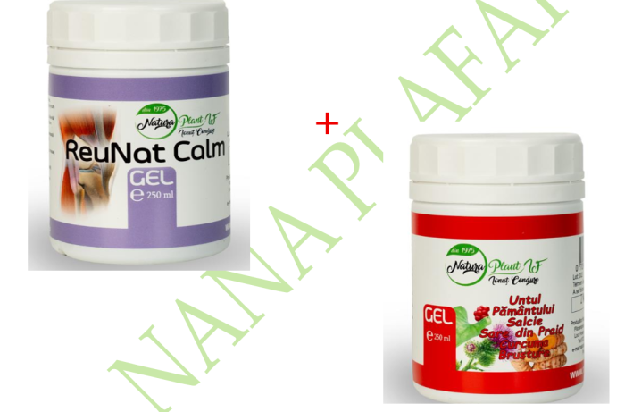 PACHET REUNATCALM GEL+UNTUL PAMANTULUI GEL 2X250ML Natura Plant la nana plafar [1]