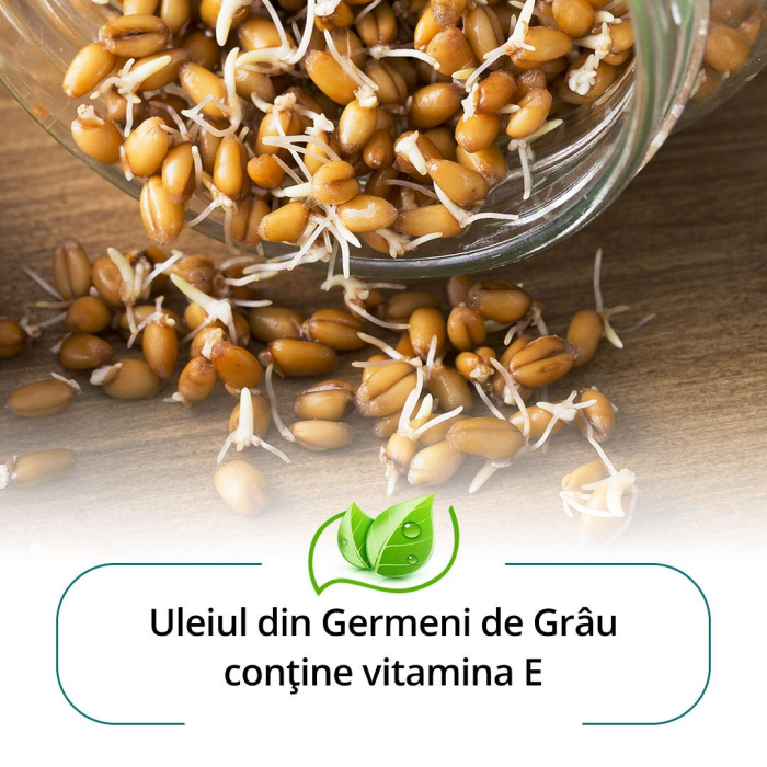 Sapun cu ulei de MIGDALE, 75gr, Himalaya la Nana Plafar [3]