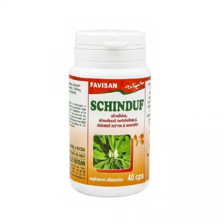 Schinduf, 40 capsule, Favisan [1]