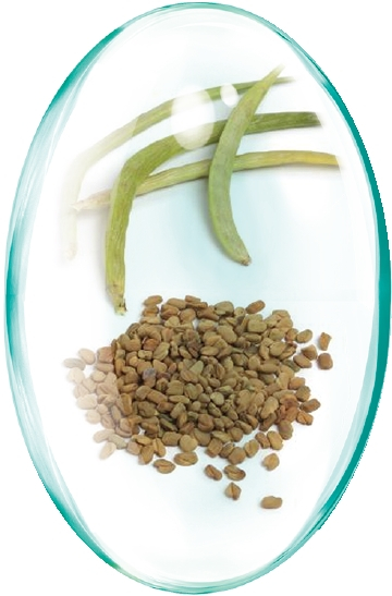 Schinduf extract, glicemie, colesterol, lactatie, 30 capsule, Rotta Natura [2]