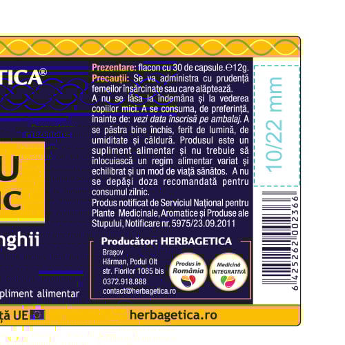 SILICIU ORGANIC, Hebagetica [3]
