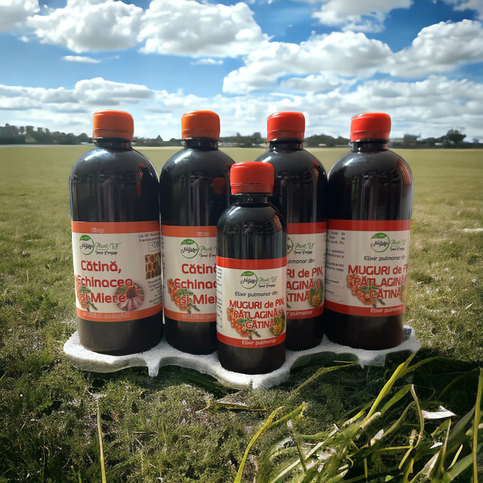 Sirop din Catina, Echinacea si Miere, 500ml - NATURA PLANT la Nana Plafar [4]