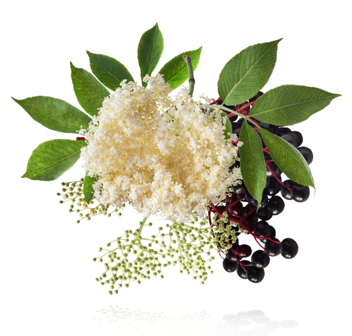 SIROP PENTRU IMUNITATE 150ml Alevia la Nana Plafar [5]