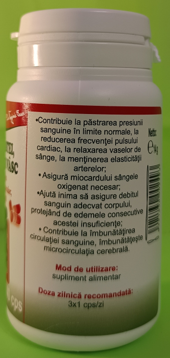 Talpa Gastei cu Vasc si Paducel, 40 capsule, Favisan la Nana Plafar [3]