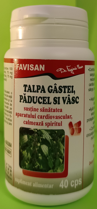 Talpa Gastei cu Vasc si Paducel, 40 capsule, Favisan la Nana Plafar [2]