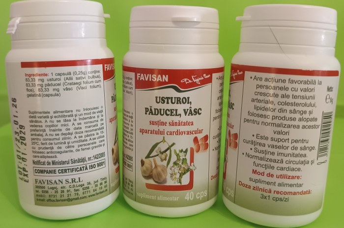 Usturoi paducel vasc 40 capsule, Favisan [3]