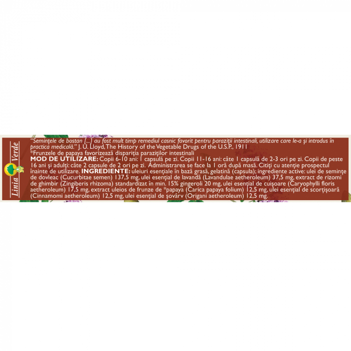 Vermicin Forte, 20 capsule moi, Fares [2]