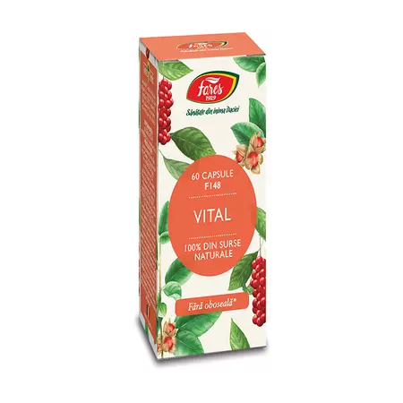 Vital, 60 capsule, Fares [1]