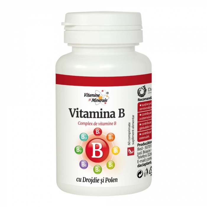 Vitamina B cu drojdie si polen, 60 comprimate, Dacia Plant [1]
