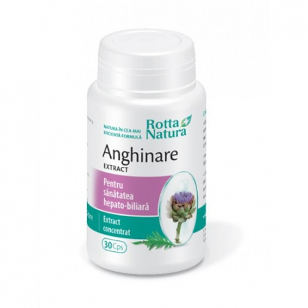 ANGHINARE Extract 300mg, Rotta Natura