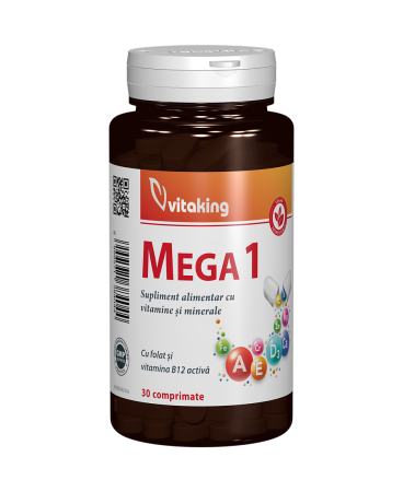 VITAMINE SI MINERALE - VITAMINE si MINERALE MEGA 1, 30 comprimate, Vitaking la Nana Plafar