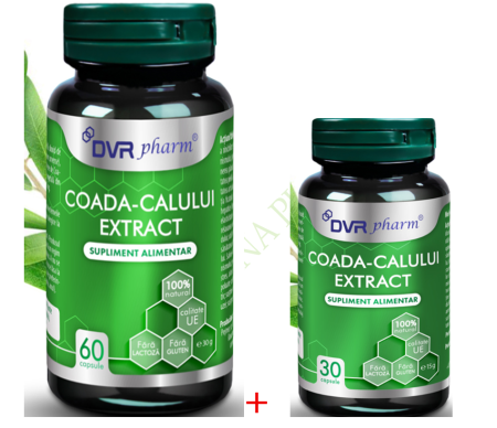 antiinflamator adulti - COADA CALULUI EXTRACT, capsule DVR Pharm la Nana Plafar