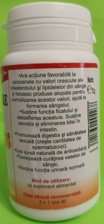ANGHINARE, 40 capsule - FAVISAN la Nana Plafar [1]