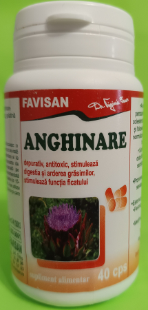 ANGHINARE, 40 capsule, Favisan