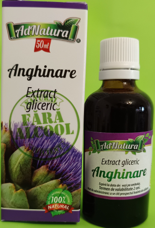METABOLISM - ANGHINARE, ARMURARIU EXTRACTE GLICERICE FARA ALCOOL 50ml AdNatura la Nana Plafar