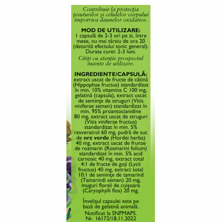 ANTIOXIDANT M117, 60 capsule, Fares la Nana Plafar [2]