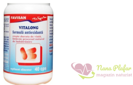 Antioxidant Vitalong, 40 capsule, Favisan la Nana Plafar