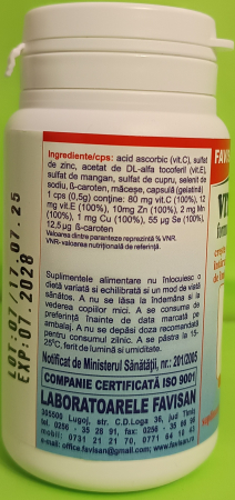 Antioxidant Vitalong, 40 capsule, Favisan la Nana Plafar [2]