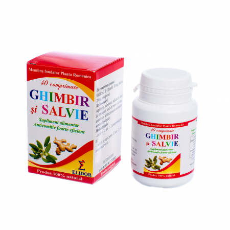 rau de miscare si altitudini - ANTIVOMITIV ANTIEMETIC GHIMBIR si SALVIE, 40 comprimate, Elidor