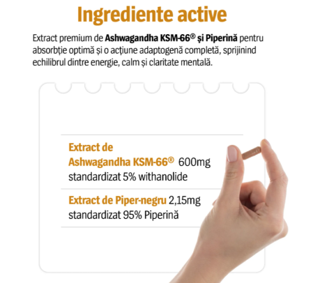 ASHWAGANDHA KSM-66, 600 mg, 30 capsule, Alevia  la Nana Plafar [2]