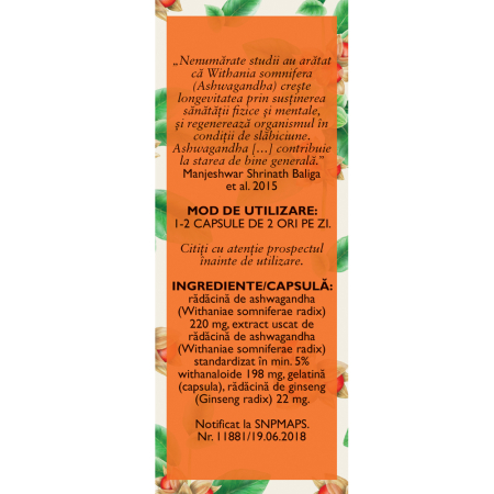 Ashwagandha cu ginseng, 60 capsule, Fares la Nana Plafar [1]