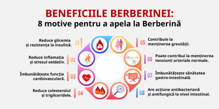BERBERINA 500 mg, 60 capsule, Zenyth la Nana Plafar [4]