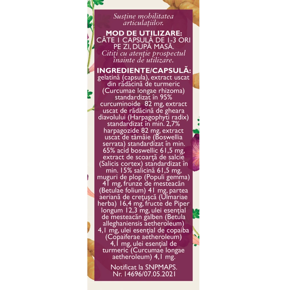 BIOMOBIL ARTICULATII, L95, 63 capsule, Fares [1]