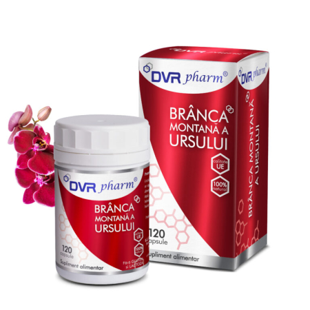 BRÂNCA MONTANĂ A URSULUI – 120 capsule DVR Pharm la Nana Plafar