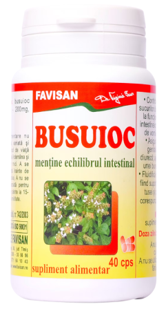 antivomitive - Busuioc 40 capsule, Favisan