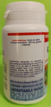 CATINA, 70 capsule, polivitamina naturala, Favisan la Nana Plafar [3]