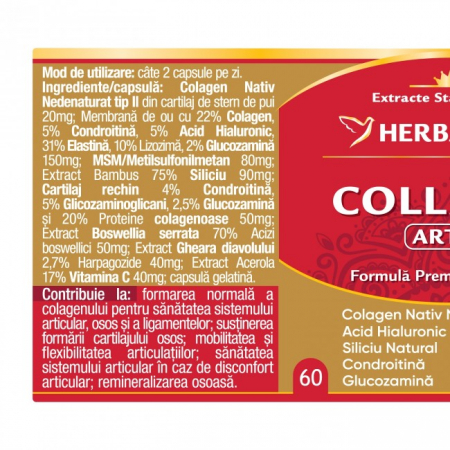 COLLAGEN ARTRO 60 Capsule, Herbagetica [1]