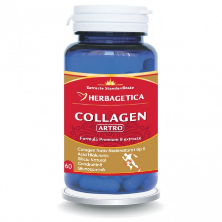 COLLAGEN ARTRO 60 Capsule, Herbagetica