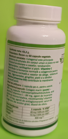 COLAGEN Marin Forte 400mg + Vit B3 + VitC, 60 capsule, Health Nutrition [2]