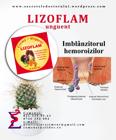 Crema unguent Lizoflam, 50 g, Elidor la Nana Plafar [2]
