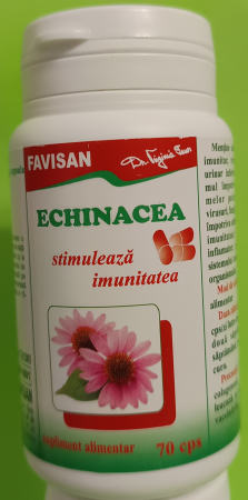 Echinacea, 70  capsule, Favisan la Nana Plafar