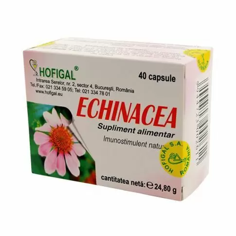Echinacea extract concentrat, 620mg, 40 capsule, Hofigal