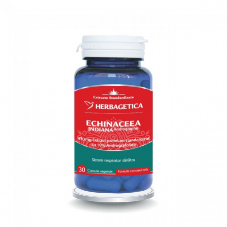 infectii tract respirator superior - Echinaceea Indiana 430mg, Herbagetica