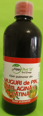 Elixir pulmonar din Muguri de Pin, Patlagina si Catina - NATURAPLANT