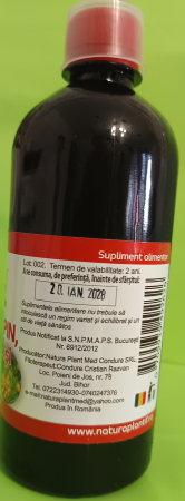 Elixir pulmonar din Muguri de Pin, Patlagina si Catina - NATURAPLANT [2]