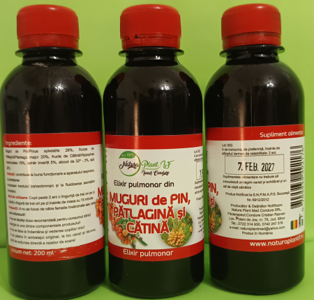 Elixir pulmonar din Muguri de Pin, Patlagina si Catina - NATURAPLANT [1]