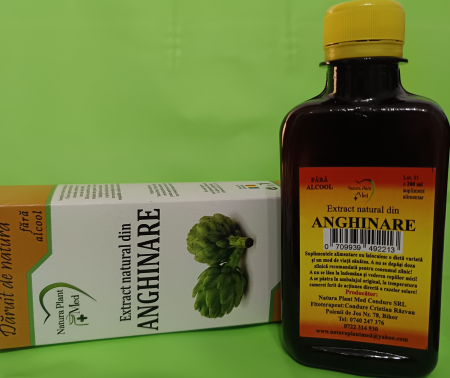 Extract natural din Anghinare, 200 ml (fara alcool) - NATURAPLANT la Nana Plafar [1]