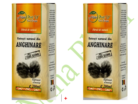 Extract natural din Anghinare, 200 ml (fara alcool) - NATURAPLANT la Nana Plafar [3]