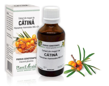 ulei,tincturi adulti - EXTRACTE GEMOTERAPICE cu CATINA ALBA, CATINA ROSIE, 50 ml, PlantExtrakt la Nana Plafar