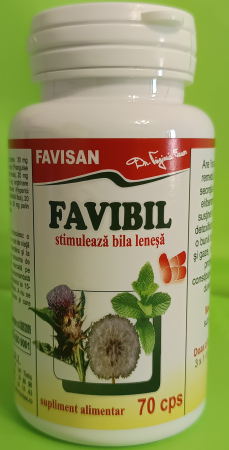 Favibil, 70 capsule, Favisan
