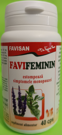 Favifeminin, 40 capsule, Favisan